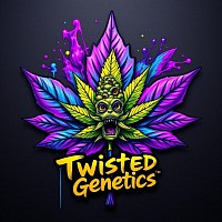 elite Canadian purple line seeds