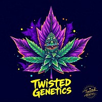 twisted Genetics Canadian purple elite line marijuana seeds