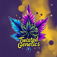 Canadian purple elite line cannabis seeds