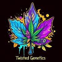 Canadian purple elite line cannabis seeds