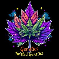 Twisted genetics Mystery f1s